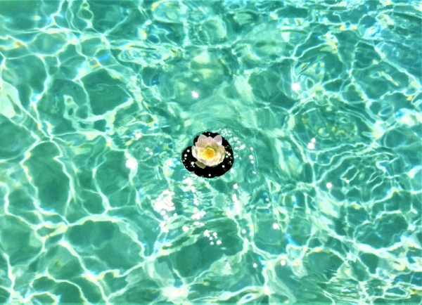 Mes Indispensables des vacances (ou pas!) et mes anecdotes